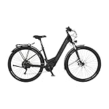 FISCHER E-Bike ATB TERRA 8.0i, Elektrofahrrad für Damen und Herren, RH 43 cm, Mittelmotor 90 Nm, 36 V Akku