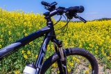 E-Bike-Gabeln: Starrgabel oder Federgabel?