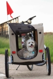Fahrradanhänger für Hunde: Auswahl und Sicherheit