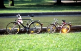Fahrradbeleuchtung und Reflektoren für sicheres Fahren