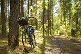 Radfahren im Wald in Gefahr?